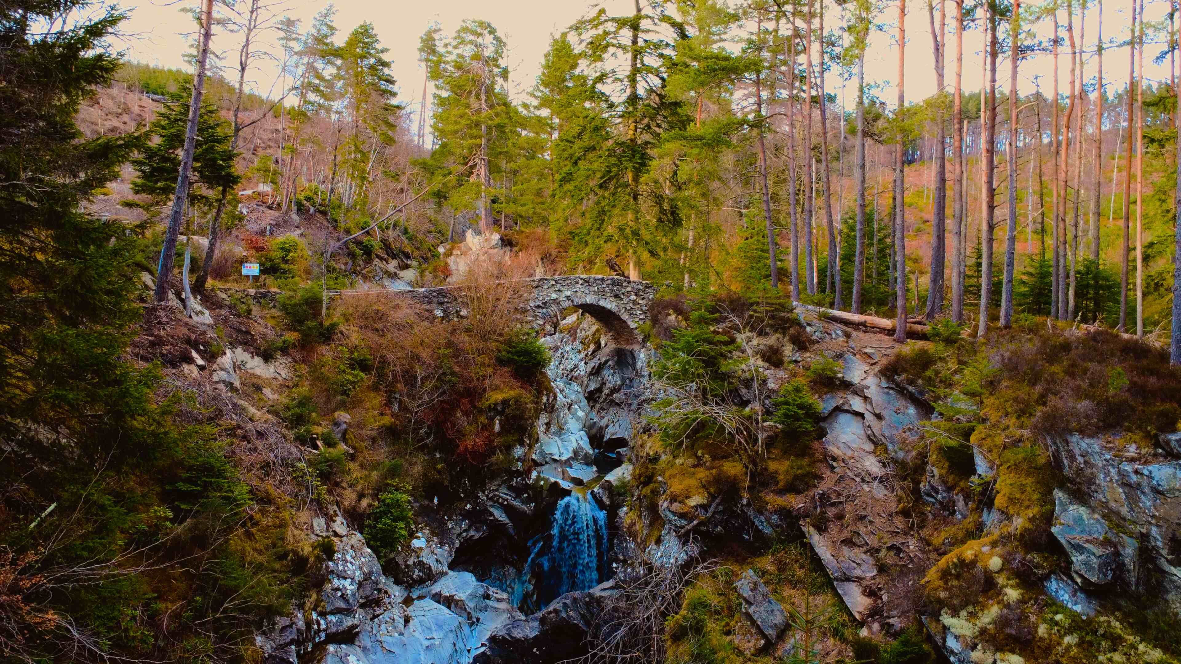 A serene waterfall cascading through a lush green forest, surrounded by trees and natural foliage