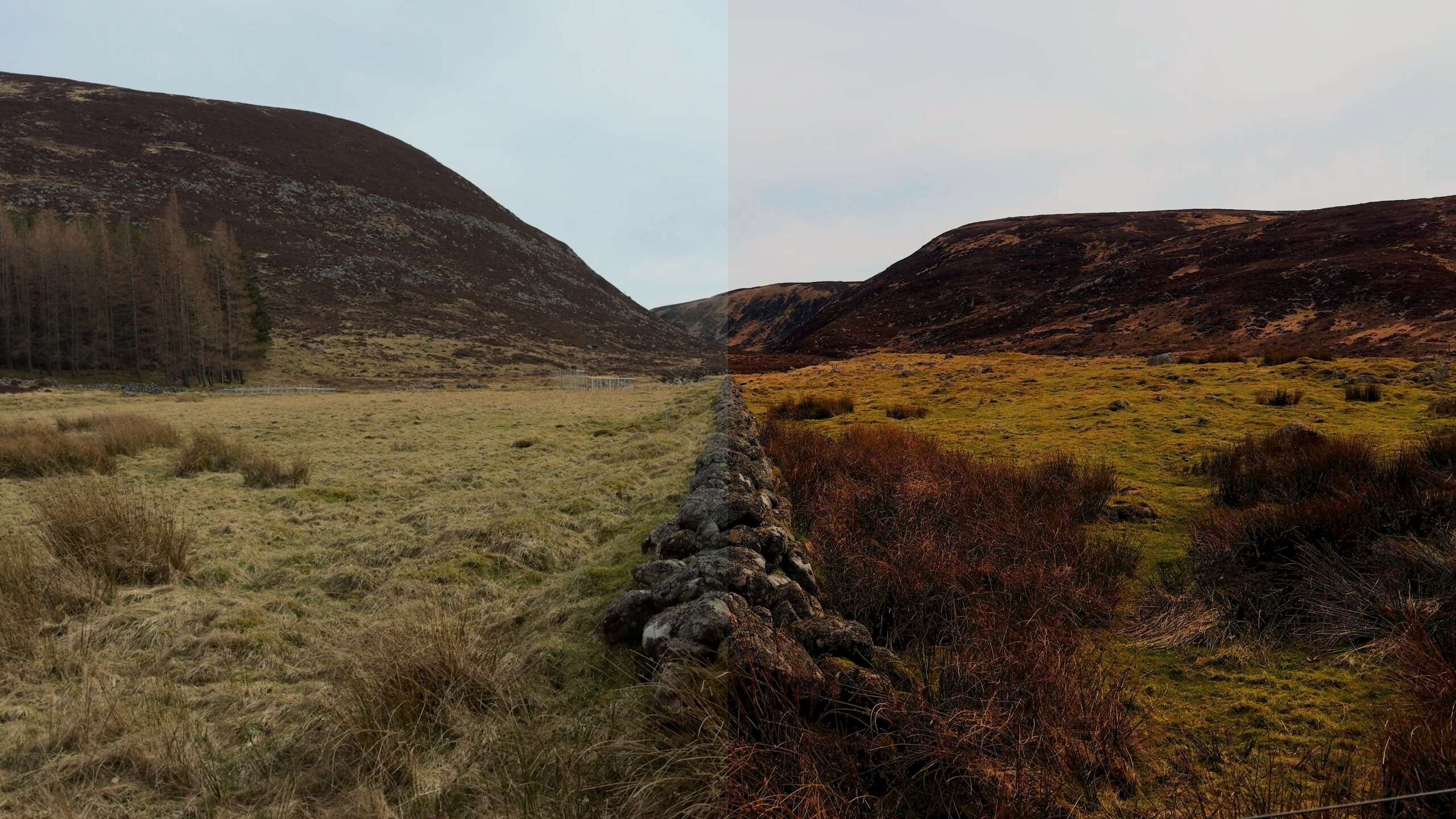 A before-after of a stretch of fields and mountains being color-graded