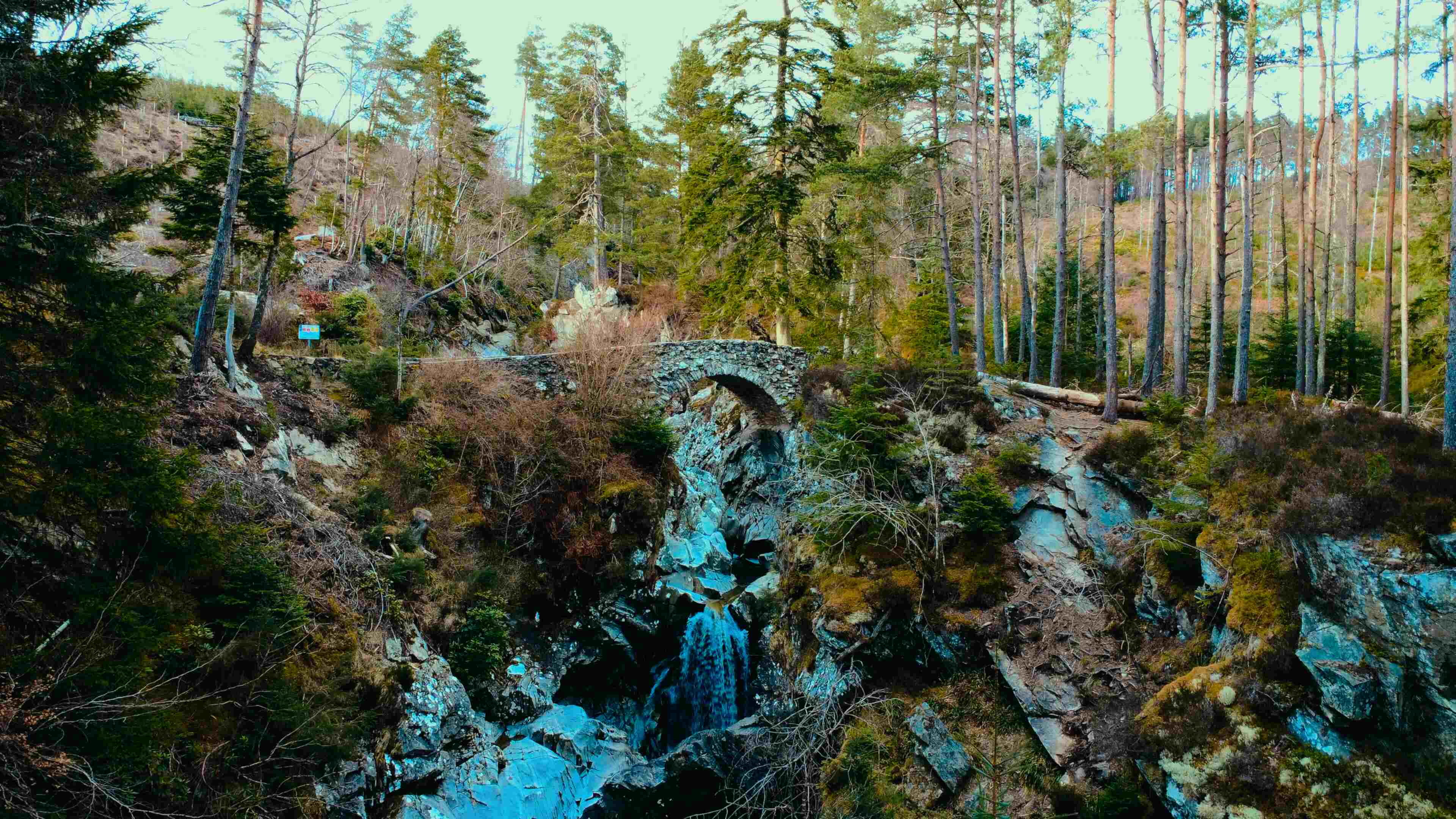 A serene waterfall cascading through a lush green forest, surrounded by trees and natural foliage